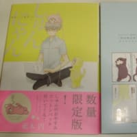 真夜中のシンデレラ | こいわ 美保子 |本 | 通販 | Amazon