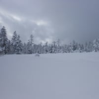 2011.11.23 大雪山スノーシューハイキング