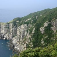 07/12思い出の旅日記　五島：大瀬崎への鳥見行-1（大瀬崎園地の模様）