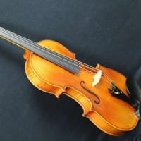 楽器における左利きの世界(19)梶野絵奈『日本のヴァイオリン史』から-週刊ヒッキイ第661号