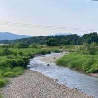 2025.6.7  天然遡上越後むらかみ清流三面川水系
