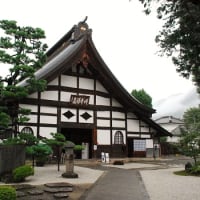 #4613 雨の恵林寺 其の二（'15 やまなし夏）