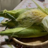 初夏の農産物・・・2025年7月
