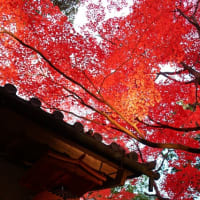 永源寺2023