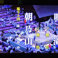 5/22投稿　朝乃山　幕下なんだ