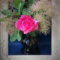 from My Rose Garden 　～薔薇と組み合わせたい植物～