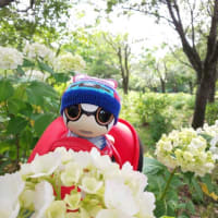 コロナワクチン