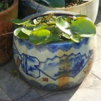 水戸の植木鉢(2)