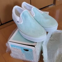 VANS CLASSIC LX Joshua Petherick 9/27cm