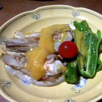 田んぼの畔に咲くタンポポのお花に紋白蝶