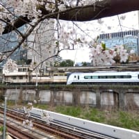 中央線特急あずさ、神田川の桜、御茶ノ水駅を通過