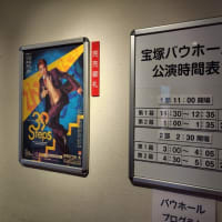 宝塚歌劇 雪組公演「バウ・ヴォードヴィル『39 Steps』」