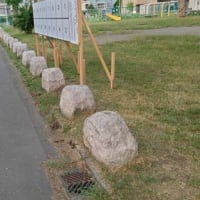 個人登録の公園ボランティア ～ 機械さえあれば楽しくなる