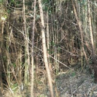 土地購入判断、