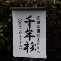 勧修寺Ⅱ