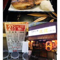 散策(食事編564)　｢東京中心南－736｣   炉端 武蔵 新橋烏森口店
