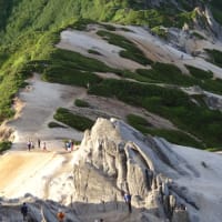 燕岳、登りました♪