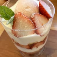 マツケンサンバを見に行った。