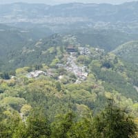 2025年　春　旅の記録　吉野山　4/19