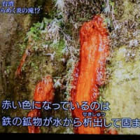 グレートネイチャー「彩りの島　台湾」より