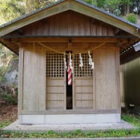 高知県須崎市、大谷「須賀神社・大谷の大樟（クスノキ）」（国指定）です！！