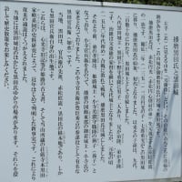 黒田官兵衛ゆかりの寺　西脇市「荘厳寺」　on　2025-6-30