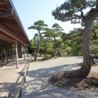 出雲の国を旅して来ました。