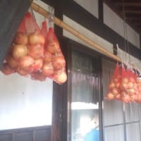 やっくらな事です！