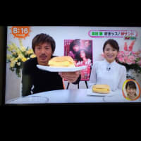 お久しぶりです