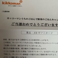 過去の当選品