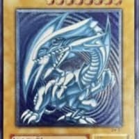 大人気！青眼の白龍