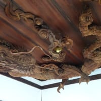 ２０２４年辰年の干支詣・瀧尾神社の竜　＠　京都妖怪探訪（８７５）