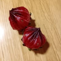 霧雨が風に吹かれて