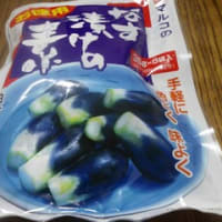 ミントの藪撲滅