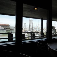 SF かに。