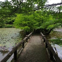 神戸市立森林植物園と弓削牧場