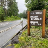 梅雨入りしましたね