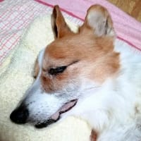 15才7か月15日・・・✨