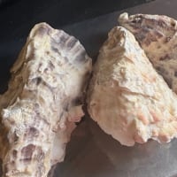 カキレシピ