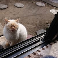 ☆厨二病、こじらせちゃってる話7️⃣☆