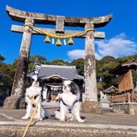 術後１年（私！）．．．ホルモン療法中です。