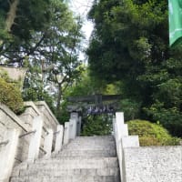 今朝の眼差し
