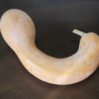 かぼちゃ？