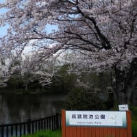 水戸の池がある公園