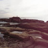 宝来島