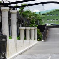 【拡散願います】沖縄島南部（与座岳）に第56警戒隊を見る（20250624）