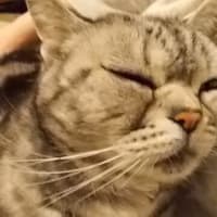 南大沢アウトレットパークへ訳アリ💦