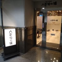 天然温泉 八百治の湯 ★
