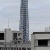 ２０２５／７／１３の朝の東京スカイツリー