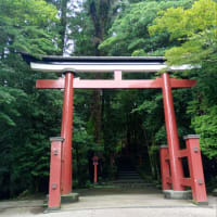 梅雨明けか？